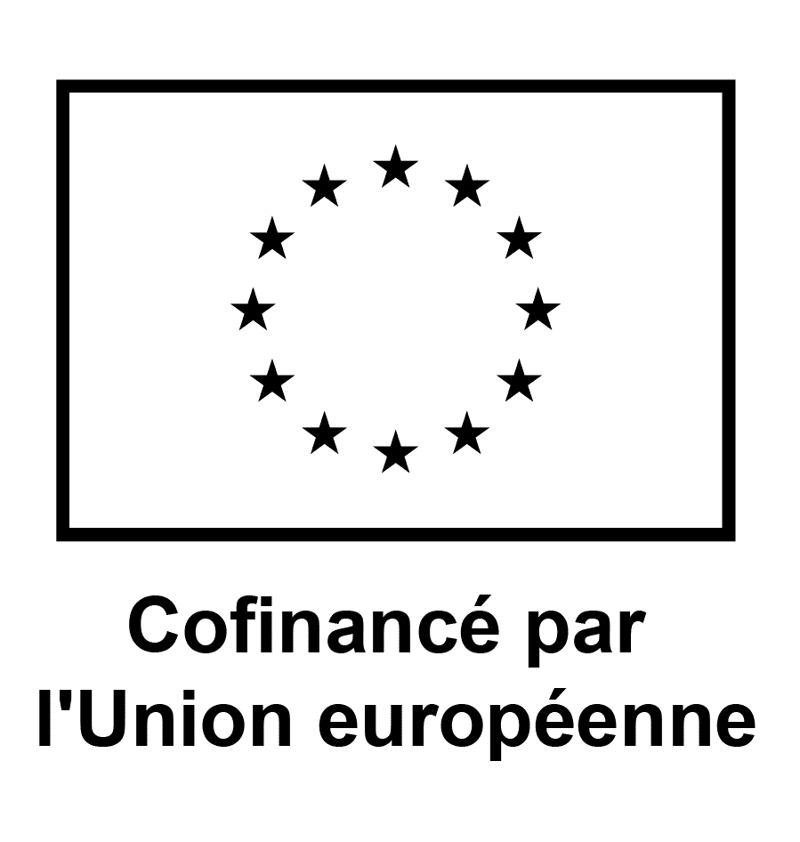 European Union logo